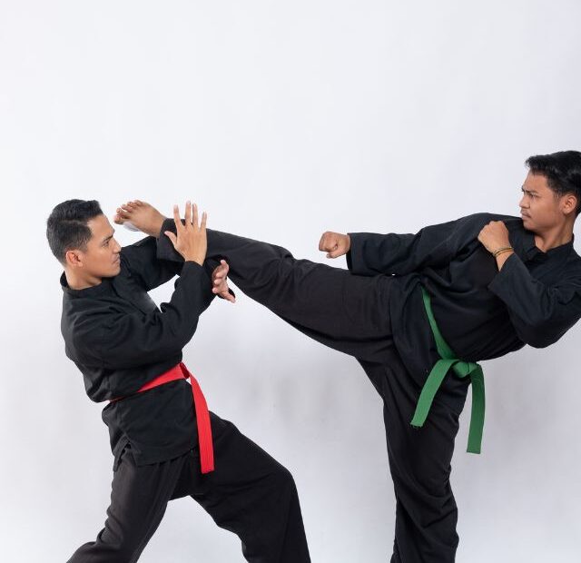 5 Best Martial Arts for Weight Loss