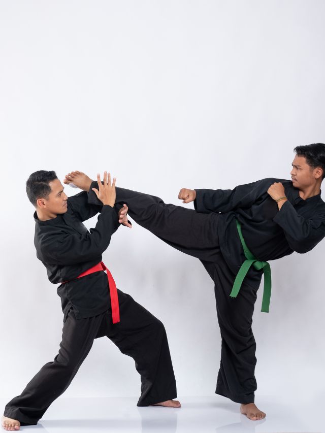 5 Best Martial Arts for Weight Loss