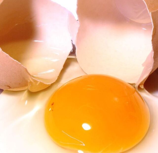 How do you know if an egg is fresh?