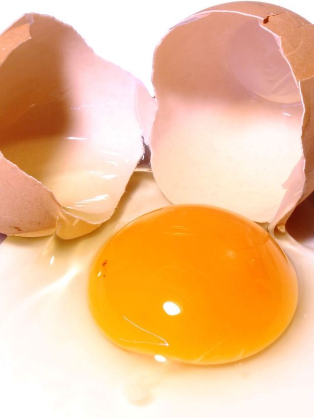 How do you know if an egg is fresh?
